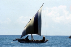 Arugambay - Sri Lanka - 1983 - Foto: Ole Holbech