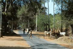 Auroville Beach - India - 1983 - Foto: Ole Holbech