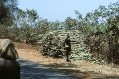 Auroville Beach - India - 1983 - Foto: Ole Holbech