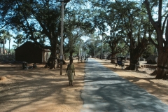 Auroville Beach - India - 1983 - Foto: Ole Holbech