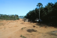 Auroville Beach - India - 1983 - Foto: Ole Holbech