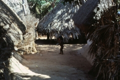 Auroville Beach - India - 1983 - Foto: Ole Holbech