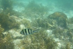 Bacuit Bay - Palawan - Philippines - 2020 - Foto: Ole Holbech