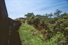 Badulla - Sri Lanka - 1983 - Foto: Ole Holbech