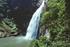 Badulla - Sri Lanka - 1983 - Foto: Ole Holbech