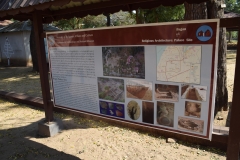 Bagan Palace Ruins - Myanmar - Burma - 2019