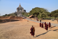 Thatbyinnyu Phaya - Bagan - Myanmar - Burma - 2019