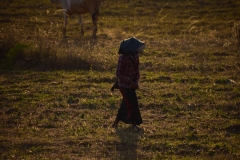 East O-htein Taung - Bagan - Myanmar - Burma - 2019