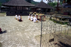 Ulv Danau - Bratan - Bali - Indonesia - 1993 - Foto: Ole Holbech