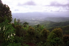 Bedugul - Bali - Indonesia - 1993 - Foto: Ole Holbech