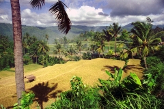 Lovina - Bali - Indonesia - 1993 - Foto: Ole Holbech