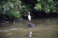 Bangkok – Thailand – 2015 - Foto: Ole Holbech