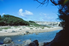 Barbados - 1981 - Foto: Ole Holbech