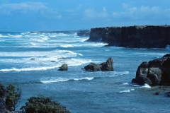 Barbados - 1981 - Foto: Ole Holbech