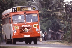 Bentota - Sri Lanka - 1987 - Foto: Ole Holbech