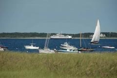 Cape Cod - Massachusetts - USA - 2011 - Foto: Ole Holbech