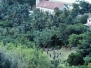 Carriacou - Grenada - Caribbean - 1981