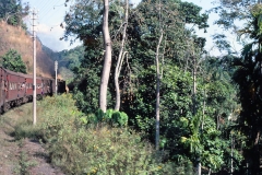 Colombo Kandy Railway - Sri Lanka - 1983 - Foto: Ole Holbech