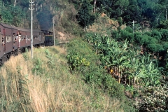 Colombo Kandy Railway - Sri Lanka - 1983 - Foto: Ole Holbech