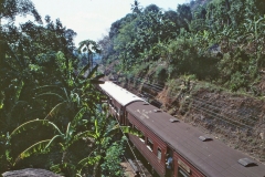 Colombo Kandy Railway - Sri Lanka - 1983 - Foto: Ole Holbech