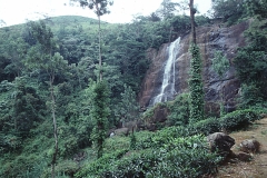 Danida Project - Kandy - Sri Lanka - 1987 - Foto: Ole Holbech