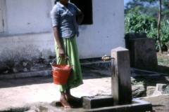 Danida Project - Kandy - Sri Lanka - 1987 - Foto: Ole Holbech