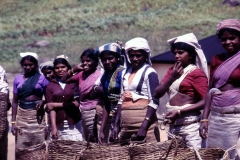 Danida Project - Kandy - Sri Lanka - 1987 - Foto: Ole Holbech