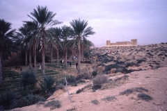 Douz – Tunesia – 1985 - Foto: Ole Holbech