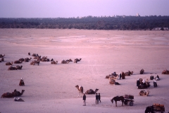 Douz – Tunesia – 1985 - Foto: Ole Holbech