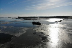 Vigelsø - Odense Fjord - Danmark - Foto: Ole Holbech