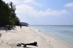 Elefant Beach - Havelock Island - India - 2018 - Foto: Ole Holbech