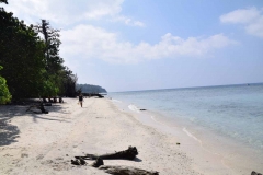 Elefant Beach - Havelock Island - India - 2018 - Foto: Ole Holbech