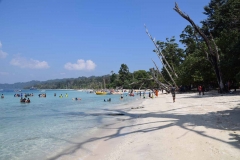 Elefant Beach - Havelock Island - India - 2018 - Foto: Ole Holbech