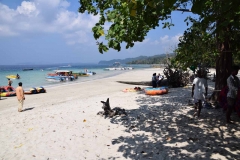 Elefant Beach - Havelock Island - India - 2018 - Foto: Ole Holbech