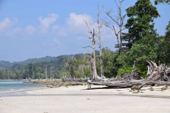 Elefant Beach - Havelock Island - India - 2018 - Foto: Ole Holbech