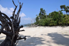 Elefant Beach - Havelock Island - India - 2018 - Foto: Ole Holbech