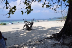 Elefant Beach - Havelock Island - India - 2018 - Foto: Ole Holbech