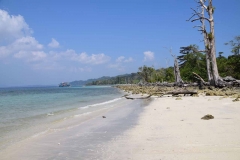 Elefant Beach - Havelock Island - India - 2018 - Foto: Ole Holbech