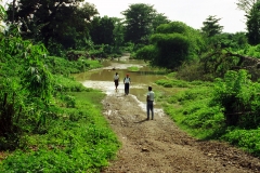 Flores - Indonesia - 1993 - Foto: Ole Holbech