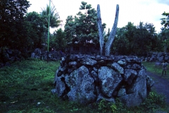 Flores - Indonesia - 1993 - Foto: Ole Holbech