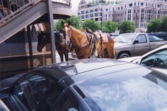 Fort Worth - Texas - USA - 1999 - Foto. Ole Holbech