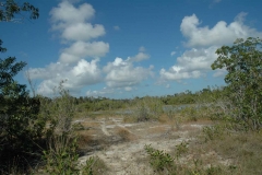 Giron – Cuba – 2006 - Foto: Ole Holbech