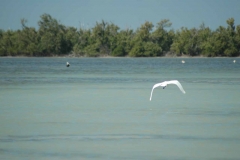 Giron – Cuba – 2006 - Foto: Ole Holbech