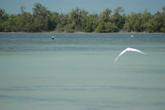 Giron – Cuba – 2006 - Foto: Ole Holbech