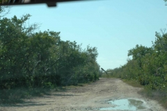 Giron – Cuba – 2006 - Foto: Ole Holbech