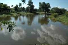 Giron – Cuba – 2006 - Foto: Ole Holbech