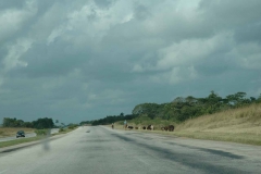 Giron – Cuba – 2006 - Foto: Ole Holbech