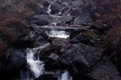 Qooqqut - Nuup Kangerlua - Godthåbsfjorden - 1976 - Foto: Ole Holbech