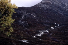 Qooqqut - Nuup Kangerlua - Godthåbsfjorden - 1976 - Foto: Ole Holbech