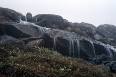 Qooqqut - Nuup Kangerlua - Godthåbsfjorden - 1976 - Foto: Ole Holbech